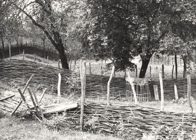 Drenje Šćitarjevsko - Ograda