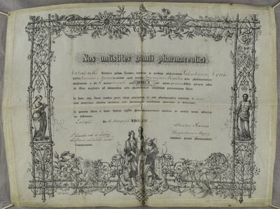 Tirocinijska diploma Valentina Vouka