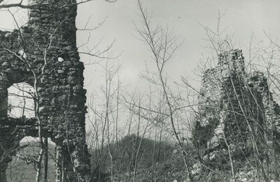 Vojnovec Loborski (Lobor) - Srednjovjekovni grad, ruševina