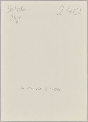 Batalo, Ilija, 2.8.1910. Policijski karton