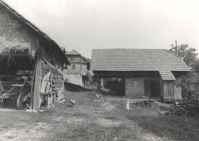 Cerovica - Okućnica