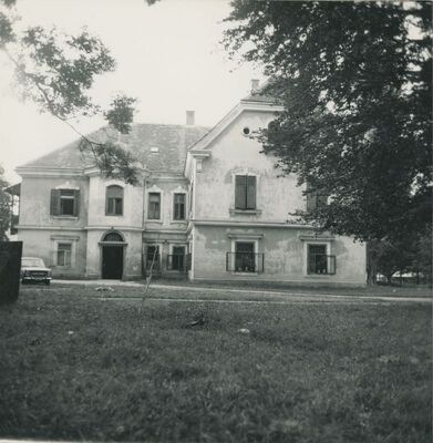 Vidovec - dvor, total