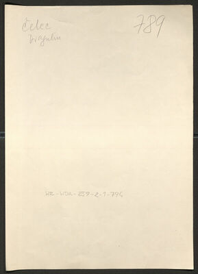 Čelec, Dragutin, 5.5.1904. Policijski karton