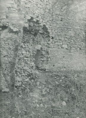 Grtovec (Budinščina) - Stari grad Milengrad, detalj