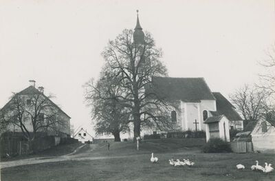 Jalžabet - Župna crkva sv. Elizabete, vanjština