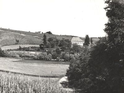 Nespeš - Kurija Švarcovina, situacija