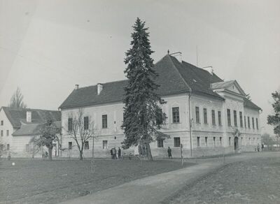 Dvorac Oroslavje Donje (Oroslavje), vanjština