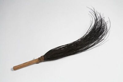 Metla za tjeranje muha