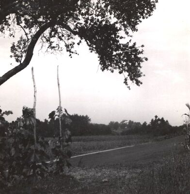 Jakovlje - Dvorac Oršić, situacija