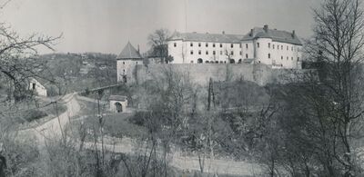 Ozalj - Stari grad, panorama