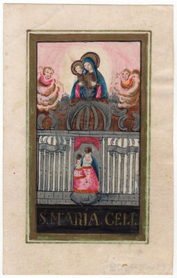 S Maria Cell