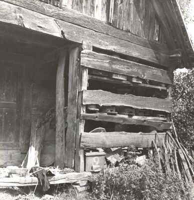 Bukovčak - Pčelinjak