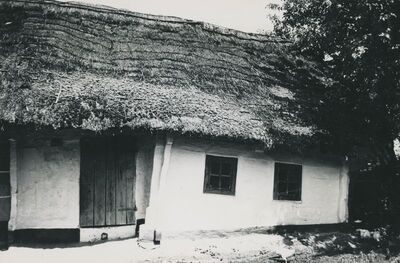 Dubravica - Kuća, dio ulaznog pročelja