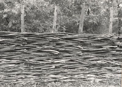 Drenje Šćitarjevsko - Ograda