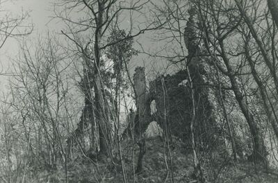 Vojnovec Loborski (Lobor) - Burg, ruševina
