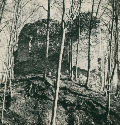 Zelingrad - Stari grad Zelingrad, stambena kula