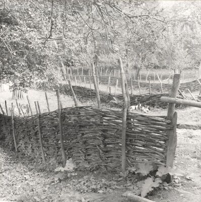 Drenje Šćitarjevsko - Ograda