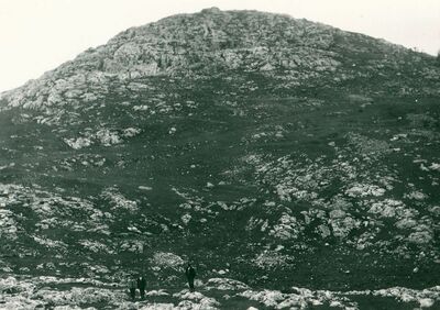 Škamnica - Cesta stara podno grada, goli dio brda