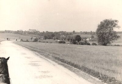 Gornji Tkalec - Dvorac, situacija
