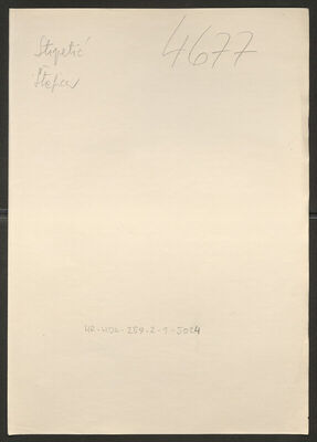 Stipetić, Štefica, 23.12.1901. Policijski karton