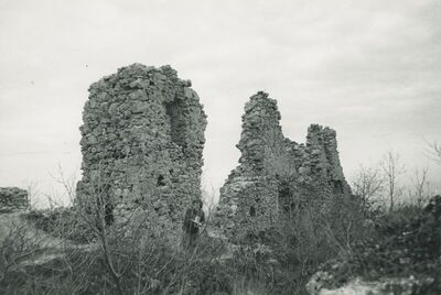 Belec (Zlatar) - Stari grad