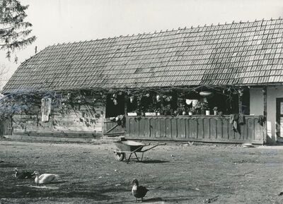 Polje Ozaljsko (Ozalj) - Tradicijska kuća, ulazno pročelje