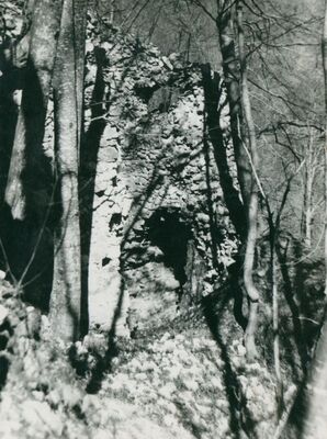 Zelingrad - Stari grad Zelingrad, ulazna kula