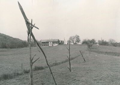 Jarnevići (Ribnik) - Tradicijska kuća, duže pročelje