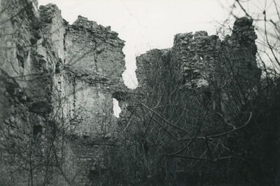 Belec (Zlatar) - Stari grad