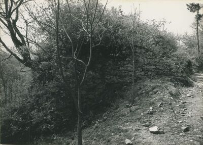 Krapina - Stari grad, zidine