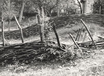 Drenje Šćitarjevsko - Ograda