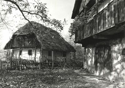 Martinski Vrh (Ribnik) - Tradicijske kuće