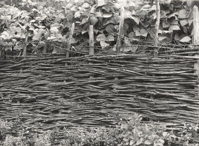 Drenje Šćitarjevsko - Ograda