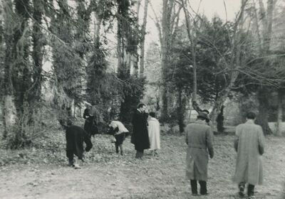 Križovljan Radovečki - dvor, park