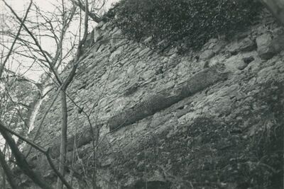 Vinica Breg (Vinica) - ruševine srednjovjekovnog grada