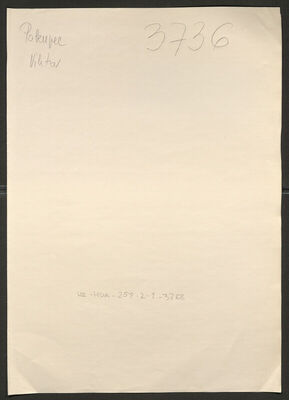 Pokupec, Viktor, 27.1.1921. Policijski karton