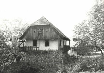 Martinski Vrh (Ribnik) - Tradicijska kuća, zabatno i dvorišno pročelje