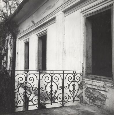 Dugo Selo - Dvorac Drašković, detalj pročelja