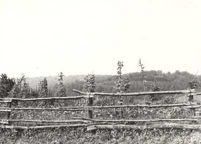 Donji Hruševec - Ograda