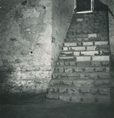 Trakošćan - dvor, podrumska prostorija, stepenice