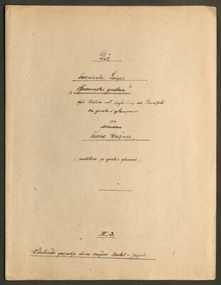 F. Krežma: Der bosnische Geiger [Bosanski guslar]