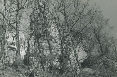Vojnovec Loborski (Lobor) - Burg, ruševina
