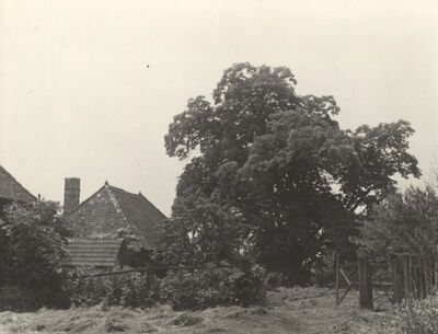 Donja Lomnica - Kurija Bedeković, okućnica