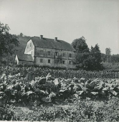 Pišćanovec - jednokatna kurija, total