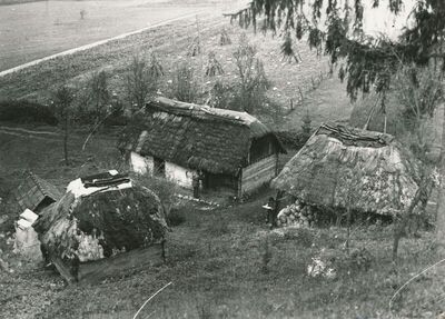 Tomašnica (Ozalj) - Okućnica