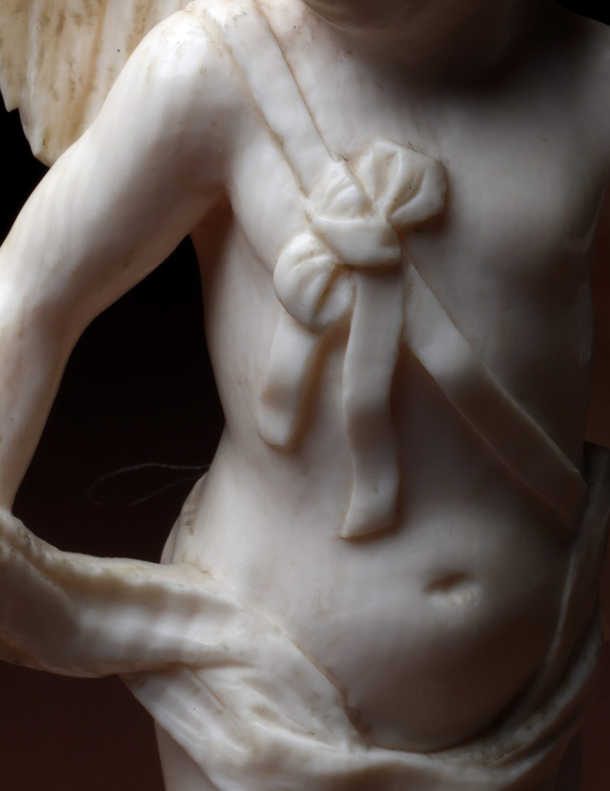 U sjeni sjaja: bjelokost između mita, moći i memorije